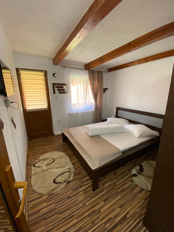Hotel Casa Floare De Colt Cîrţişoara Exterior foto