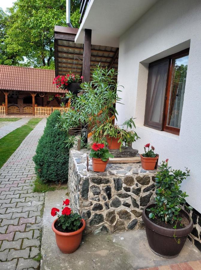 Hotel Casa Floare De Colt Cîrţişoara Exterior foto