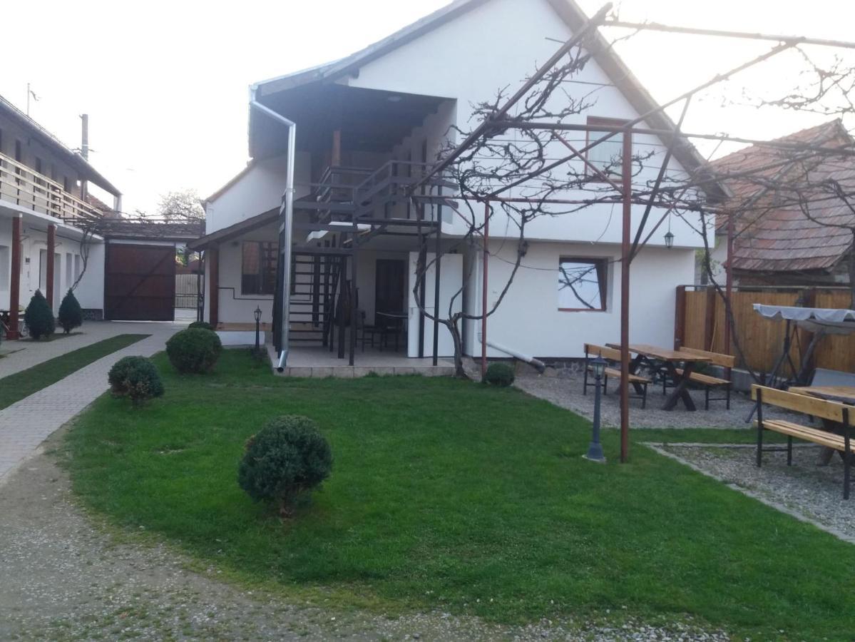 Hotel Casa Floare De Colt Cîrţişoara Exterior foto