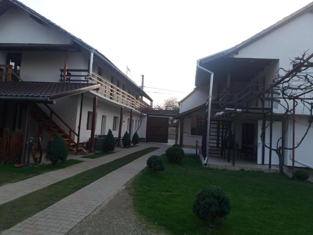 Hotel Casa Floare De Colt Cîrţişoara Exterior foto