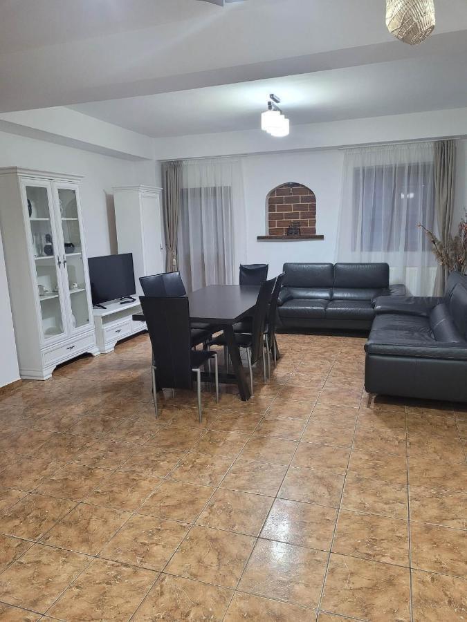 Hotel Casa Floare De Colt Cîrţişoara Exterior foto