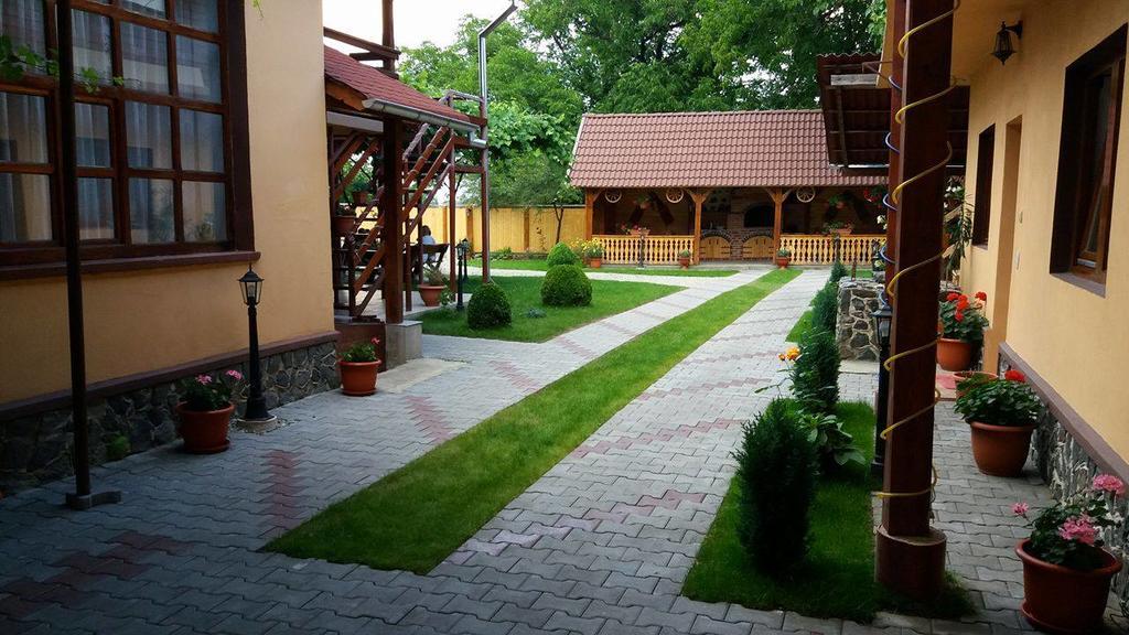 Hotel Casa Floare De Colt Cîrţişoara Exterior foto