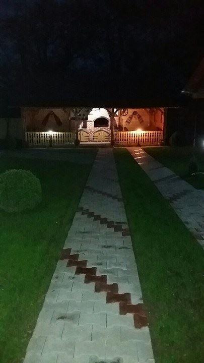 Hotel Casa Floare De Colt Cîrţişoara Exterior foto