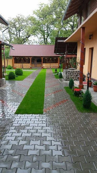 Hotel Casa Floare De Colt Cîrţişoara Exterior foto