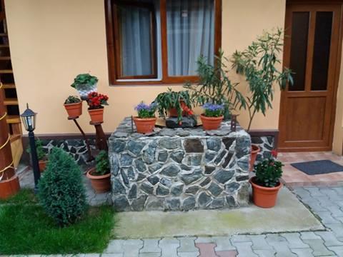 Hotel Casa Floare De Colt Cîrţişoara Exterior foto