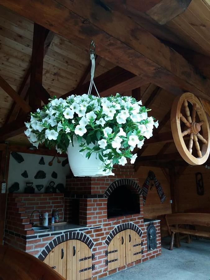 Hotel Casa Floare De Colt Cîrţişoara Exterior foto